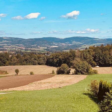 Adlerhorst, 4 Schlafzimmer, Blick In Die Alpen, Parkplatz Thyrnau 外观 照片