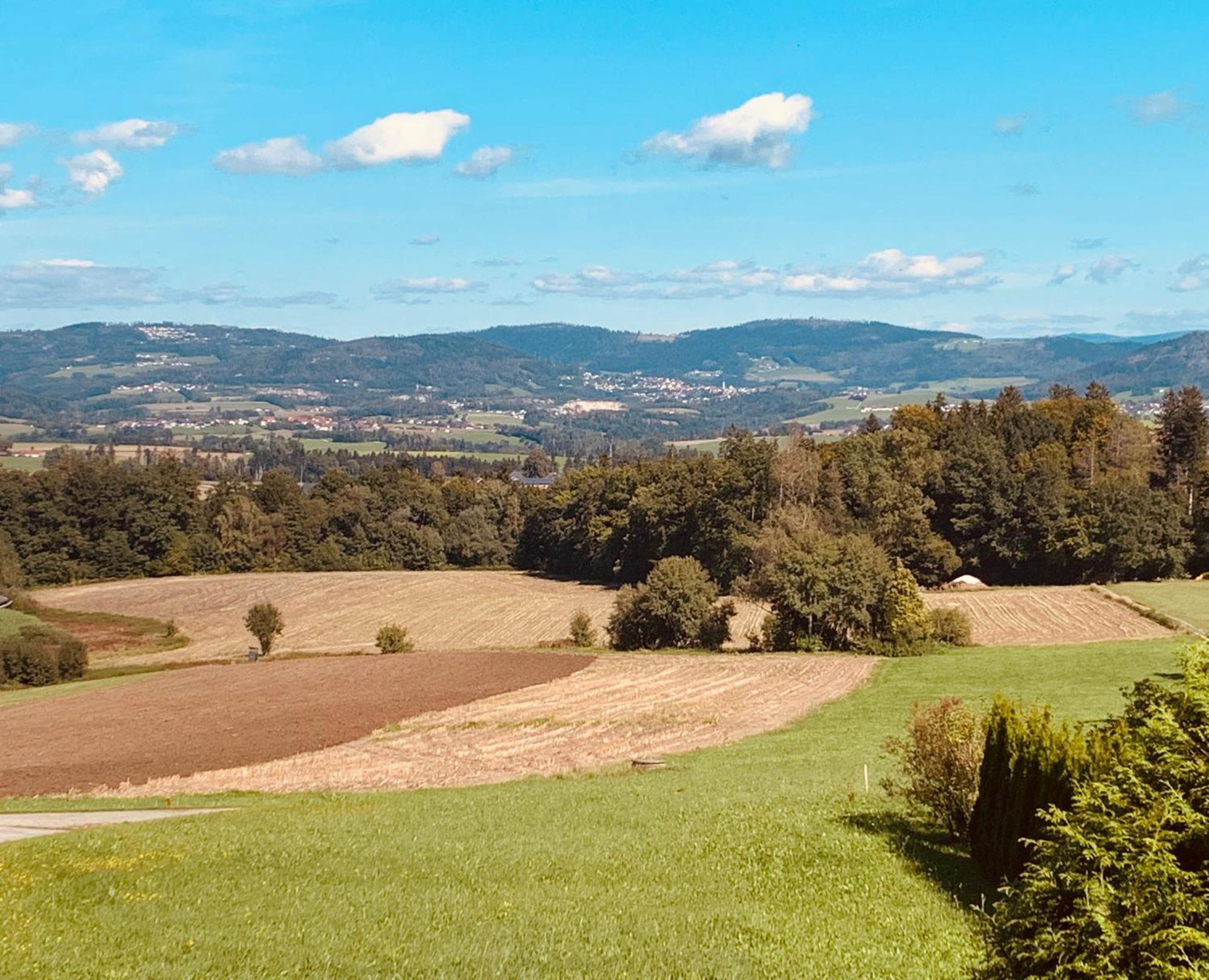 Adlerhorst, 4 Schlafzimmer, Blick In Die Alpen, Parkplatz Thyrnau 外观 照片